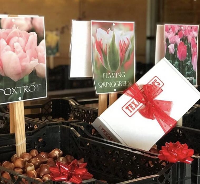 Images Texas-Tulips, LLC