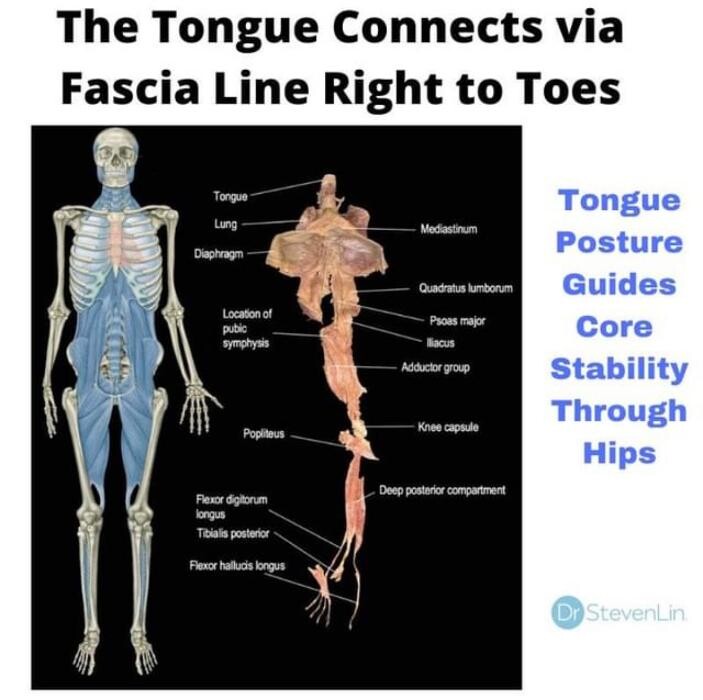 Images Medical Center Dental Group