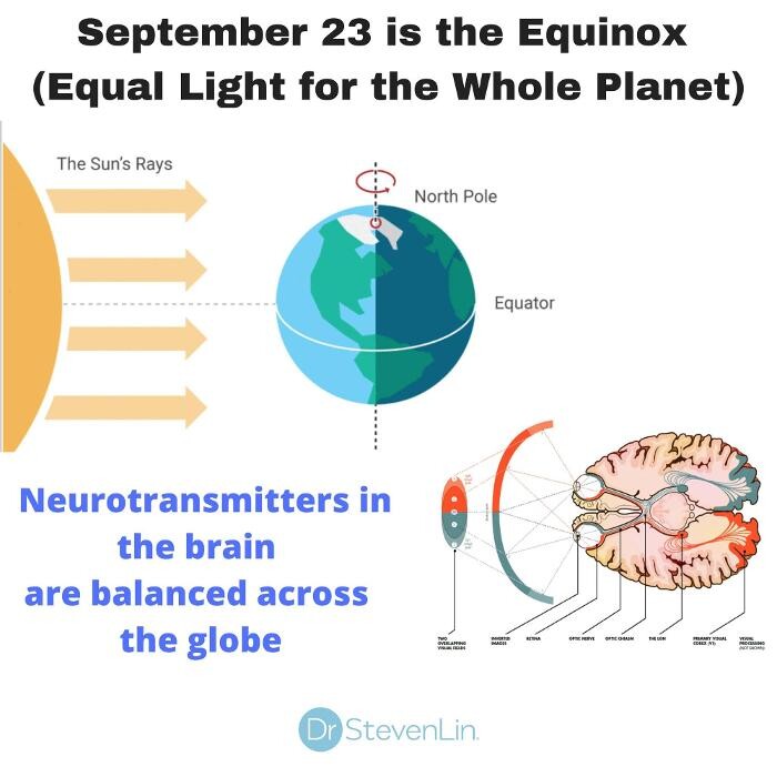 Images Medical Center Dental Group