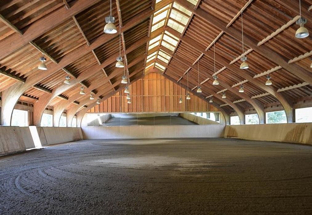 Images Jump for Joy Equestrian