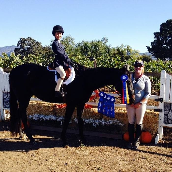 Images Jump for Joy Equestrian