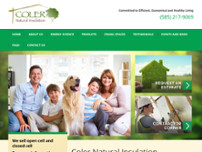 Screenshot for http://www.coler.com