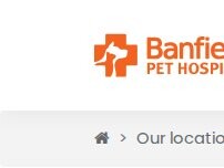 Website Screenshot Banfield Pet Hospital