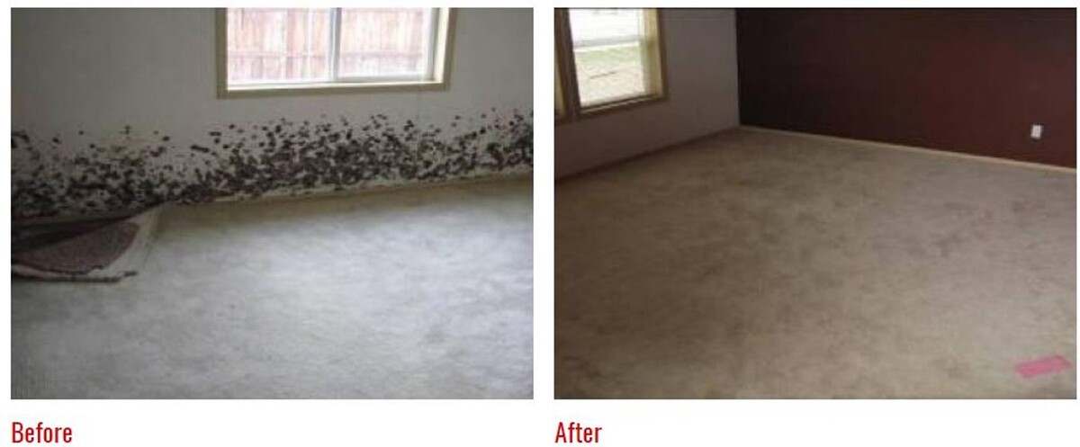 Images 1st Choice Restoration