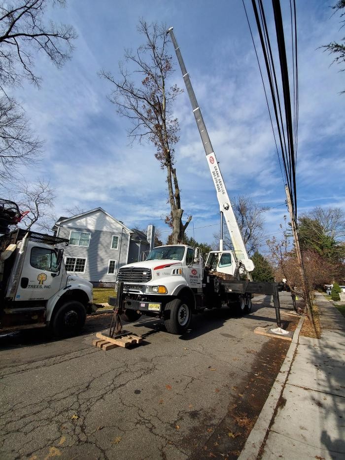 Images ACH CRANE SERVICE LLC