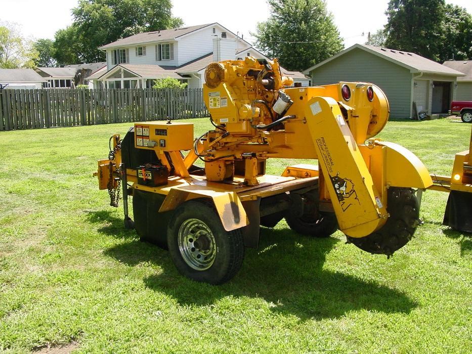 Images Dump That Stump LLC.