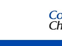 Website Screenshot Converse Family Chiropractic