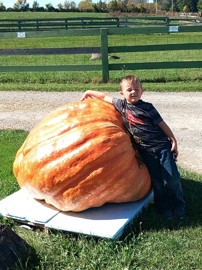 Images K & D Development