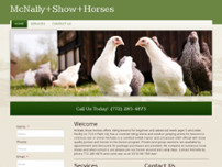McNally Show Horses website screenshot