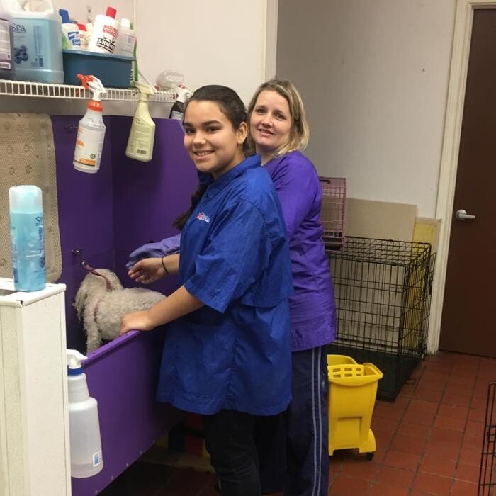 Images Paws Pet Spa and Boutique 8