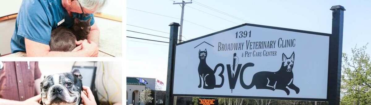 Images Broadway Veterinary Clinic
