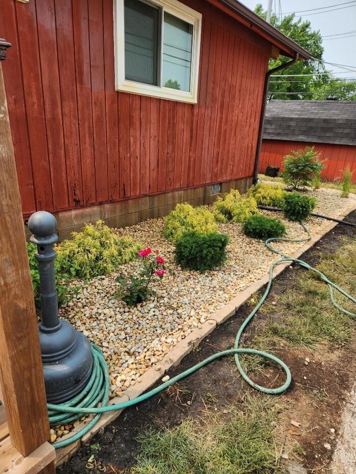 Images Rose Pest Solutions