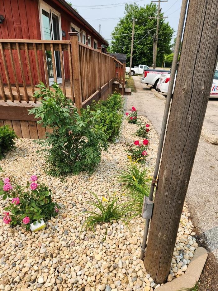 Images Rose Pest Solutions