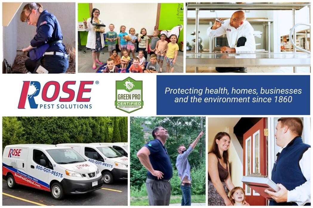 Images Rose Pest Solutions