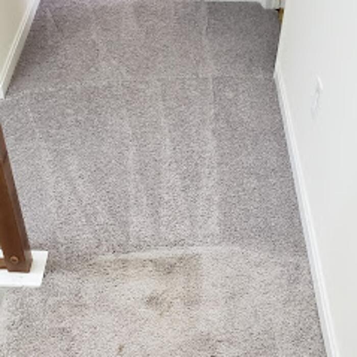 Images Aardvark Carpet Service