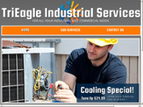 TriEagle Industrial Services website screenshot