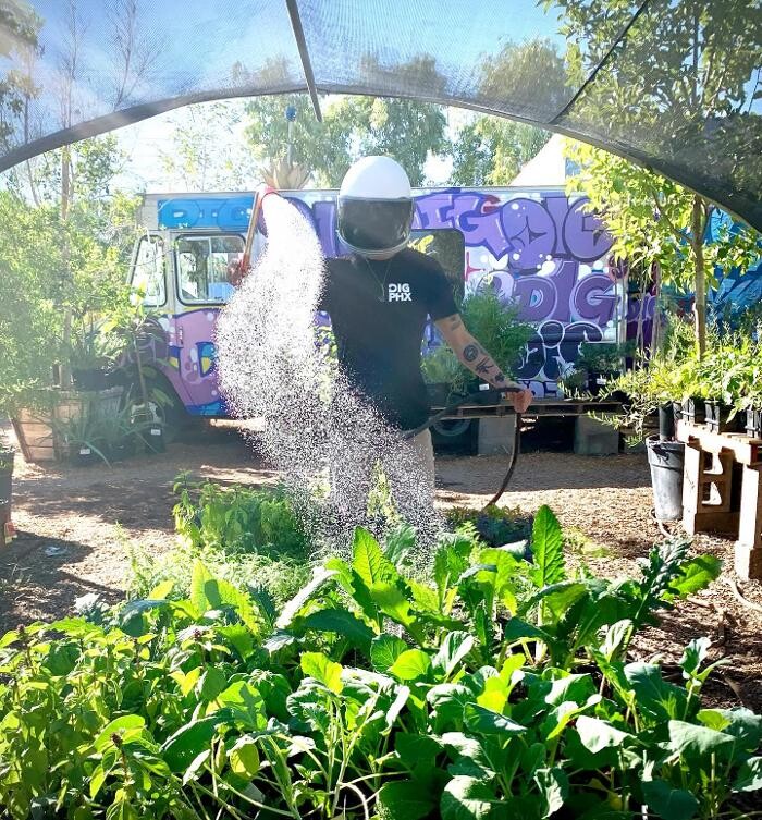 Images Dig It Gardens