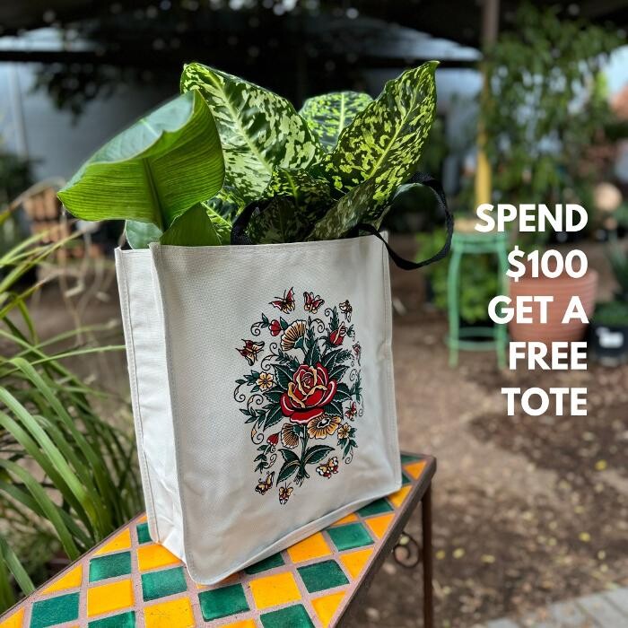 Images Dig It Gardens
