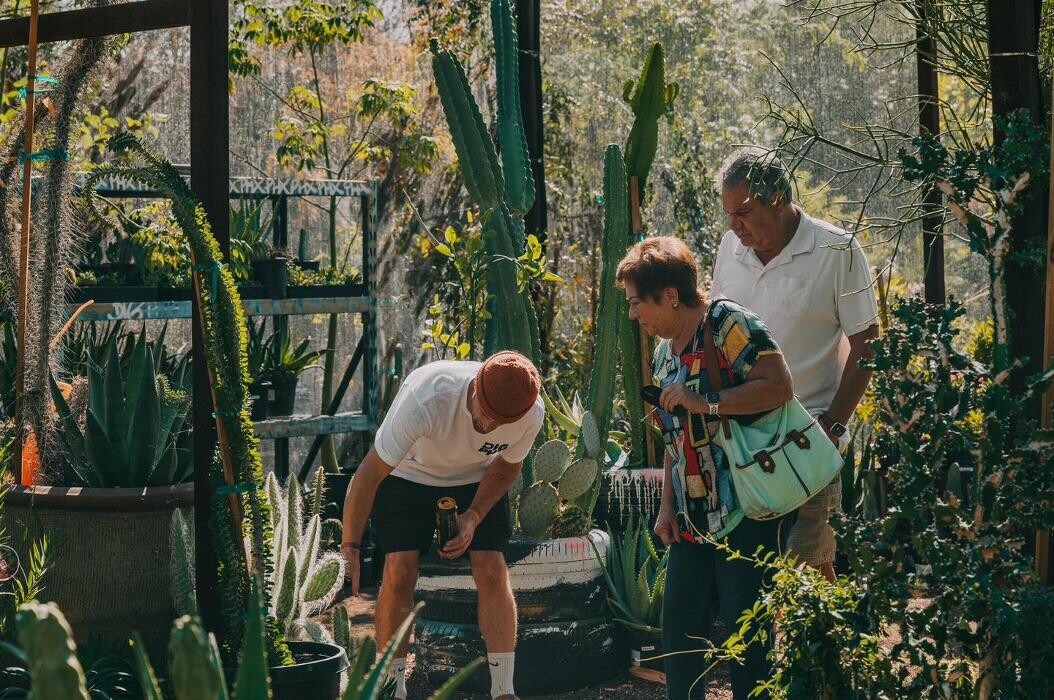 Images Dig It Gardens
