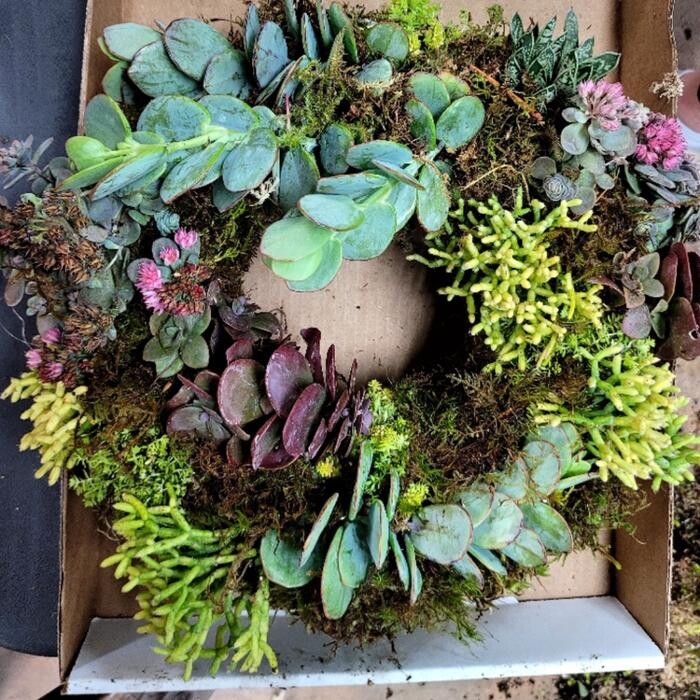 Images Dig It Gardens