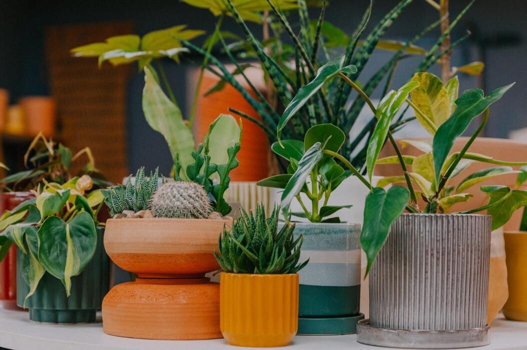 Images Dig It Gardens