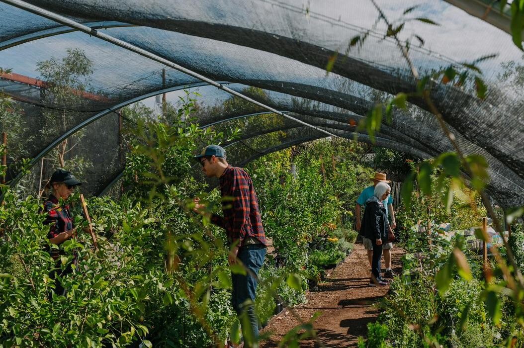 Images Dig It Gardens