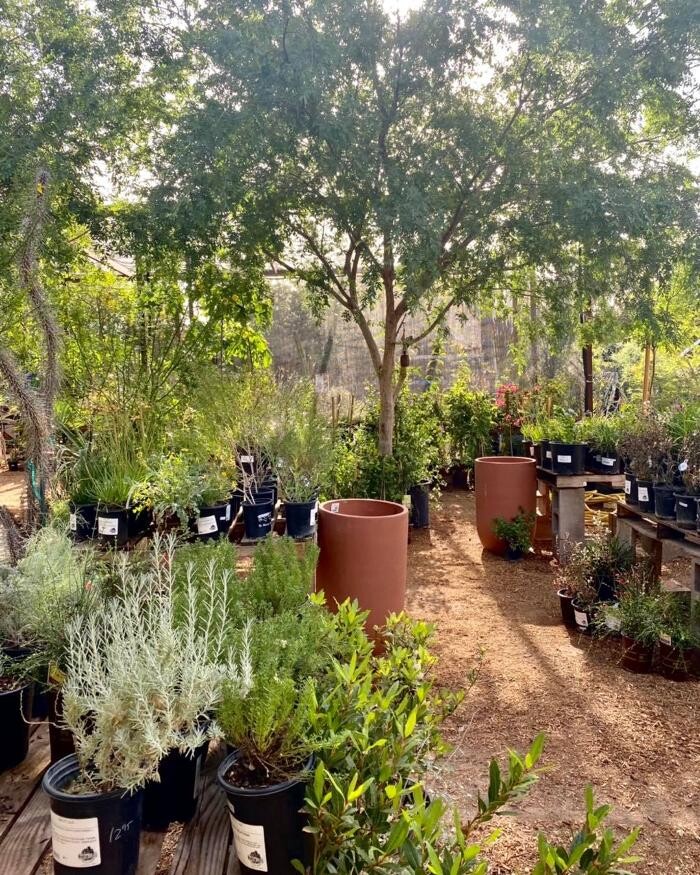 Images Dig It Gardens