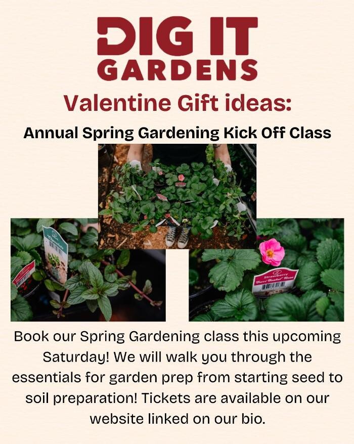 Images Dig It Gardens