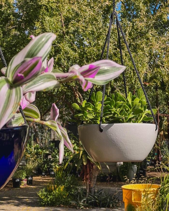Images Dig It Gardens