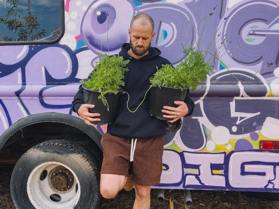 Images Dig It Gardens