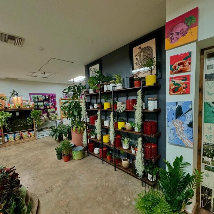 Images Dig It Gardens
