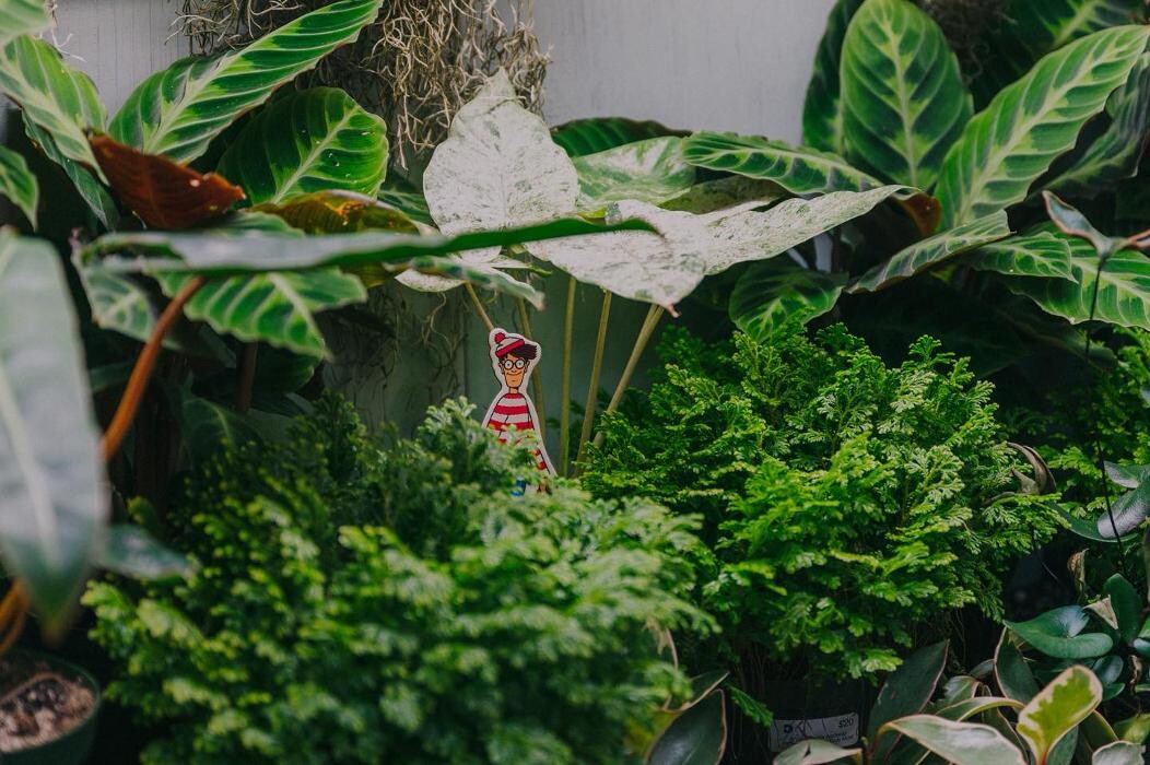 Images Dig It Gardens