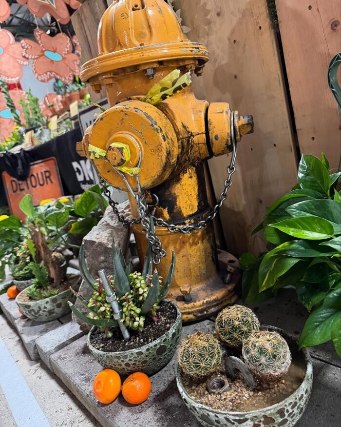 Images Dig It Gardens