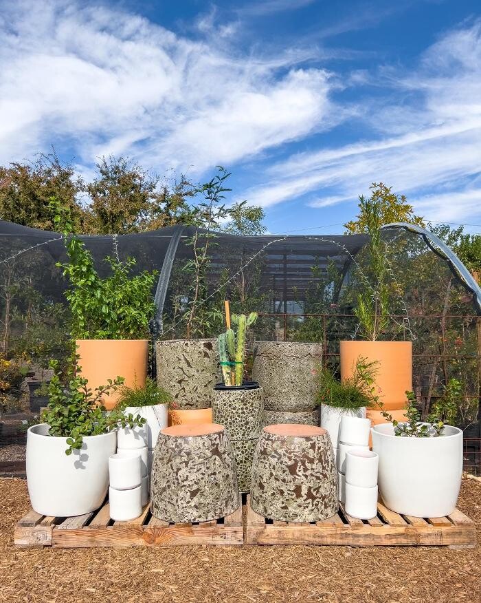 Images Dig It Gardens