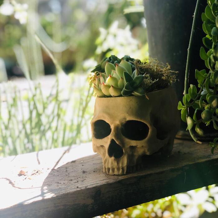Images Dig It Gardens
