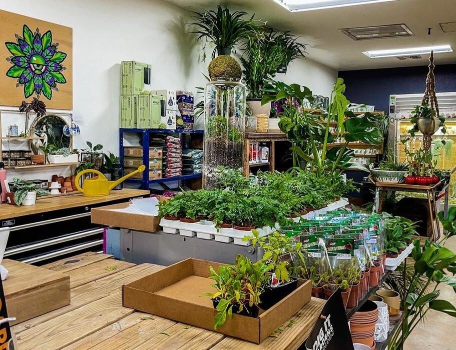 Images Dig It Gardens