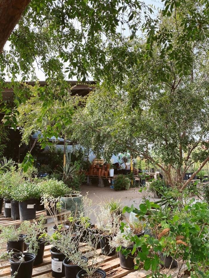 Images Dig It Gardens