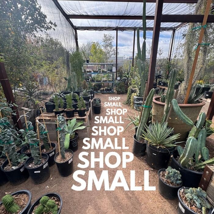Images Dig It Gardens