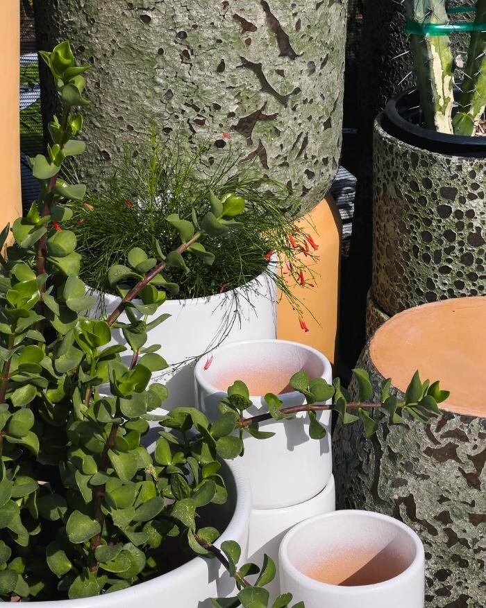 Images Dig It Gardens