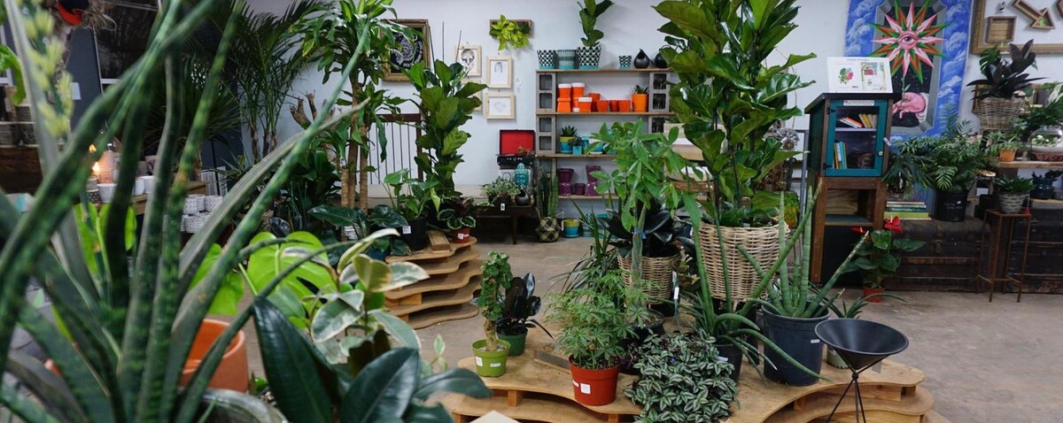 Images Dig It Gardens