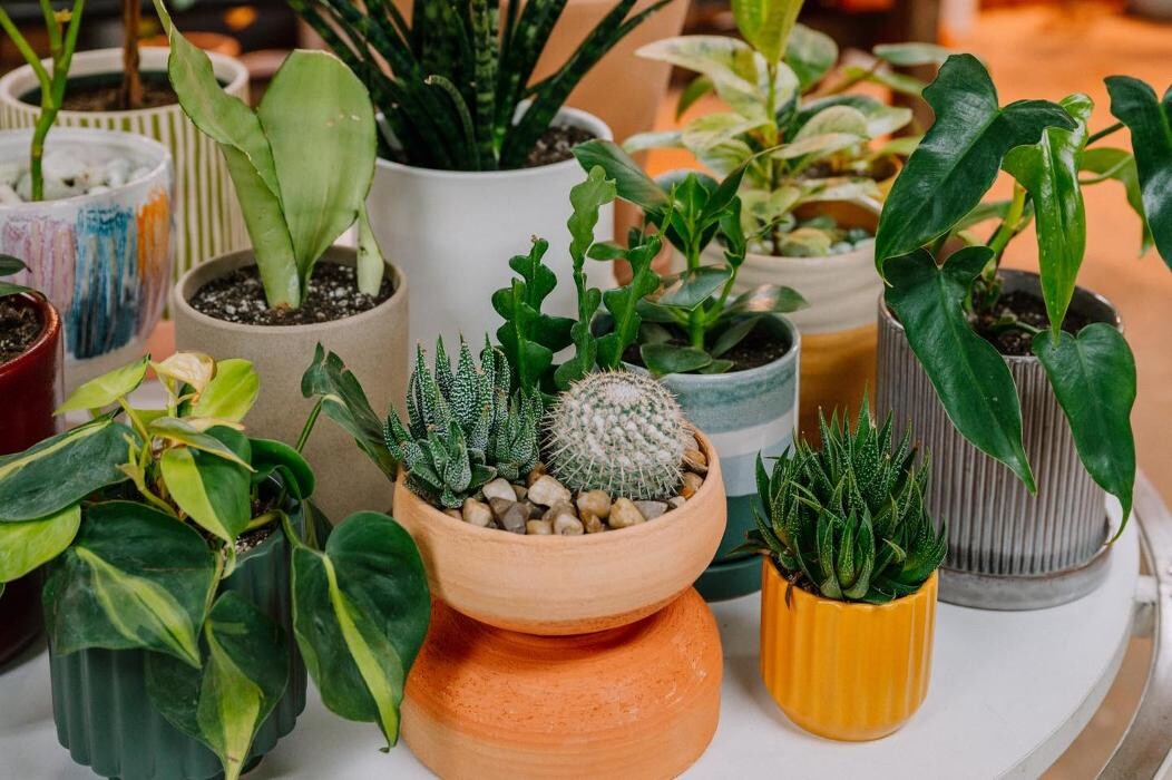 Images Dig It Gardens