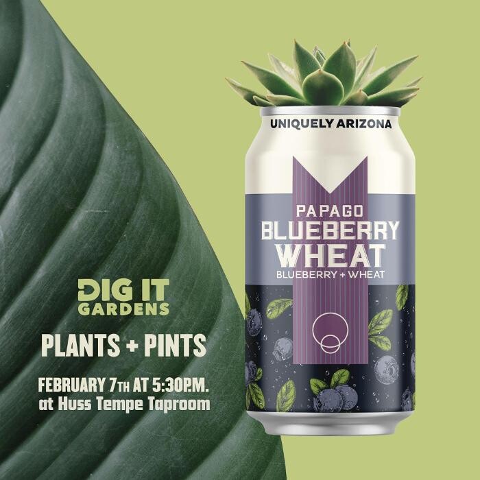 Images Dig It Gardens