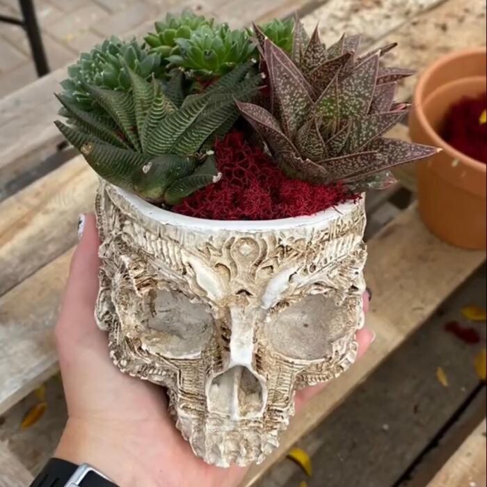 Images Dig It Gardens