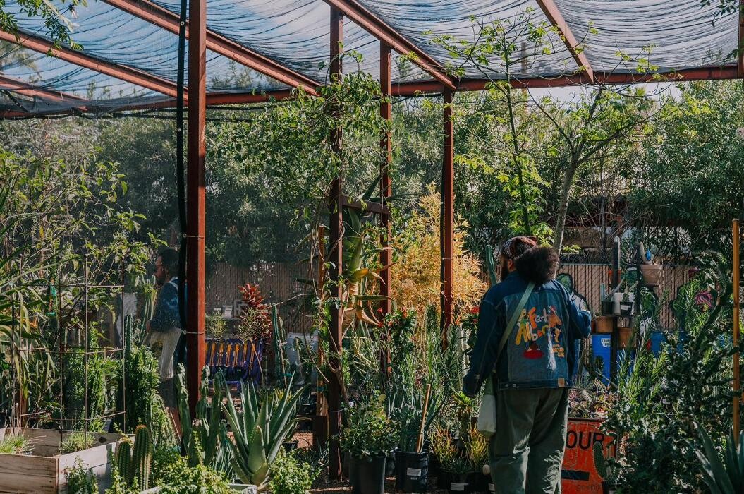 Images Dig It Gardens