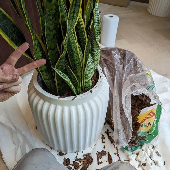 Images Dig It Gardens