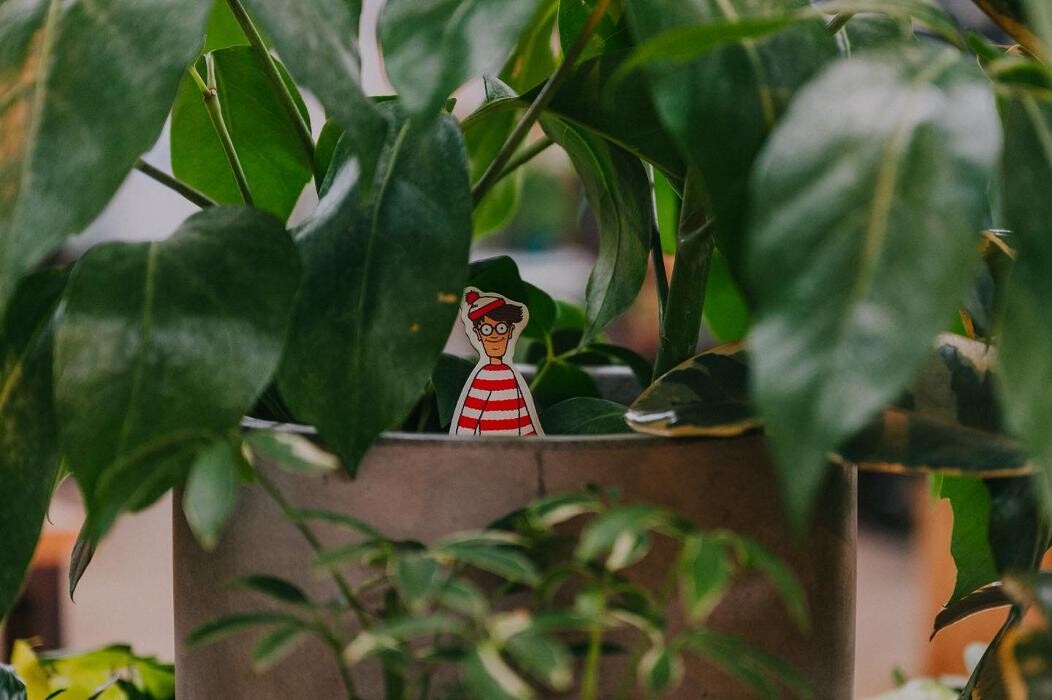 Images Dig It Gardens