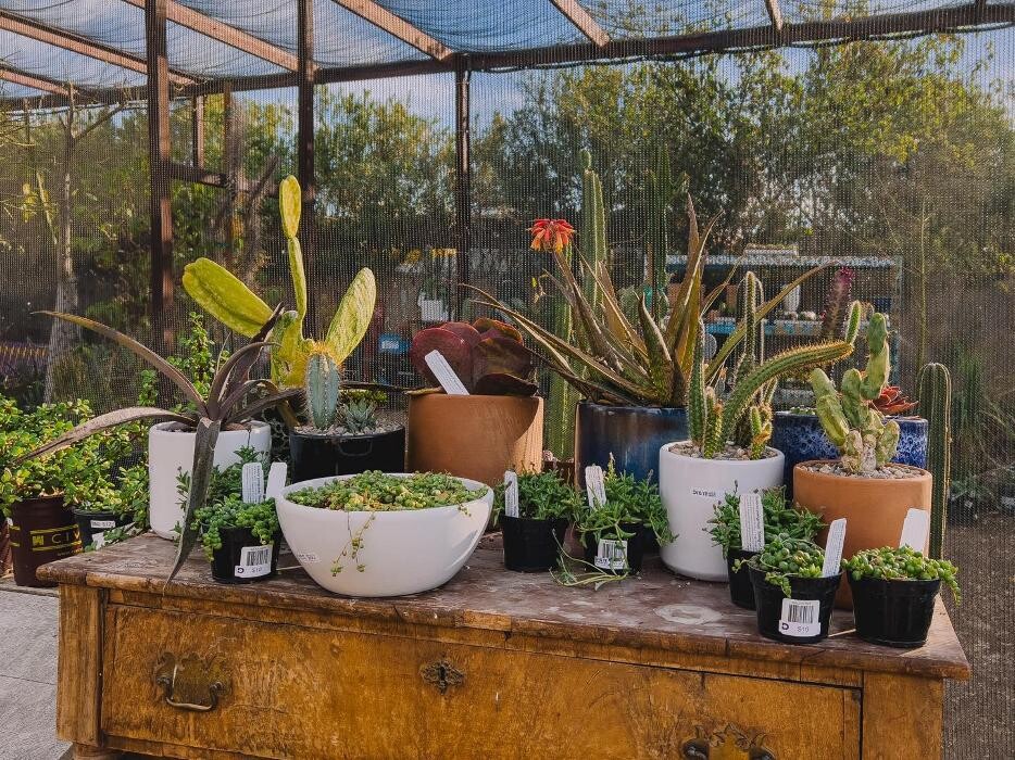 Images Dig It Gardens