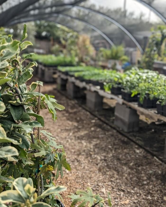 Images Dig It Gardens
