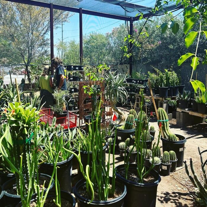 Images Dig It Gardens