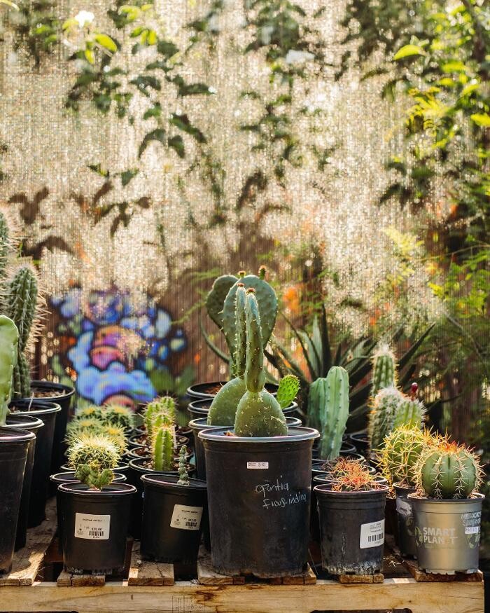 Images Dig It Gardens